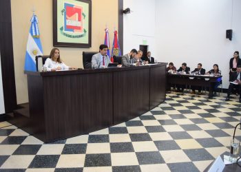 Posadas: concejales buscarán implementar paneles de seguridad para la poda de césped