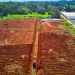 Iniciaron los trabajos de suelo para ampliar el cultivo de cannabis a cielo abierto
