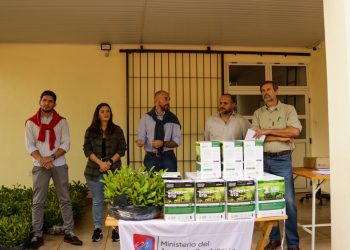 Se entregarán 150.000 plantines de yerba mate a productores yerbateros