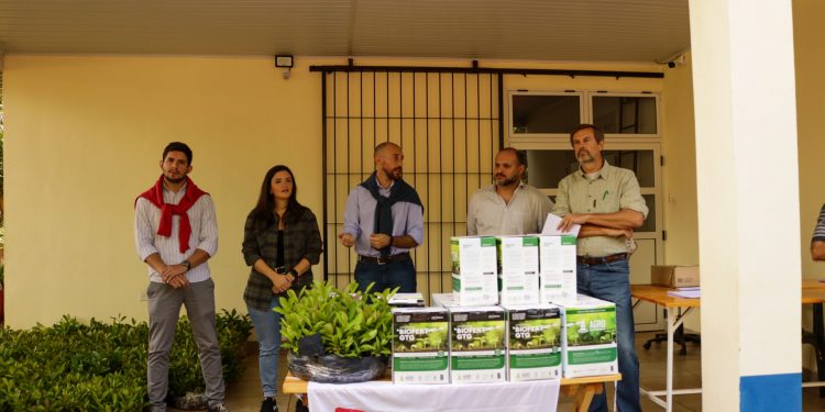 Se entregarán 150.000 plantines de yerba mate a productores yerbateros