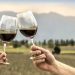 Día Internacional del Malbec: por qué se celebra cada 17 de abril