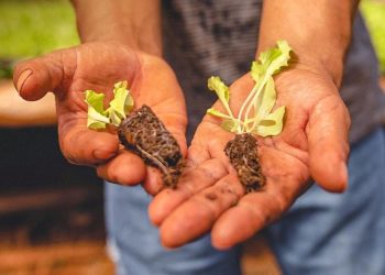 El camino hacia la primera provincia Agro Sustentable de la Argentina