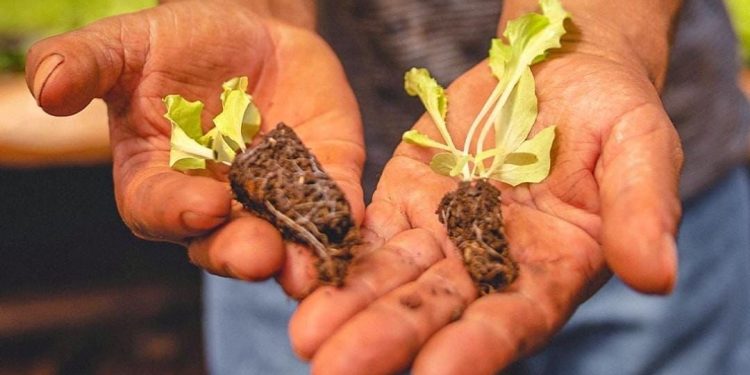 El camino hacia la primera provincia Agro Sustentable de la Argentina