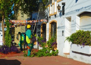 Posadas: en mayo iniciará el Operativo Integral de Poda