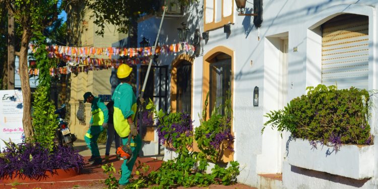 Posadas: en mayo iniciará el Operativo Integral de Poda