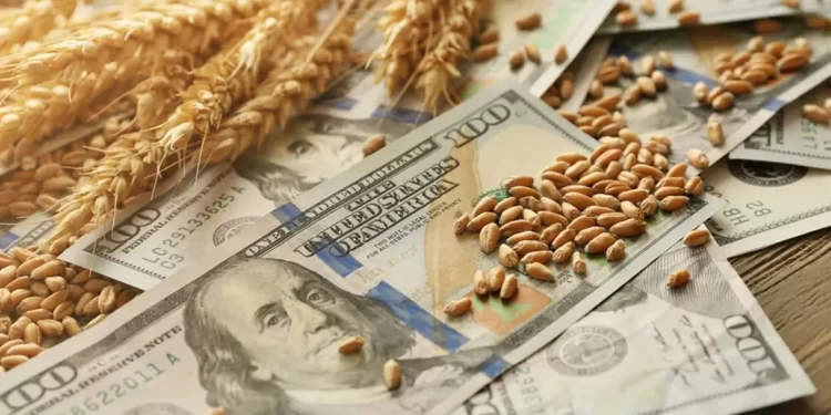 El Gobierno pone en vigencia nuevamente dólar diferencial para la soja
