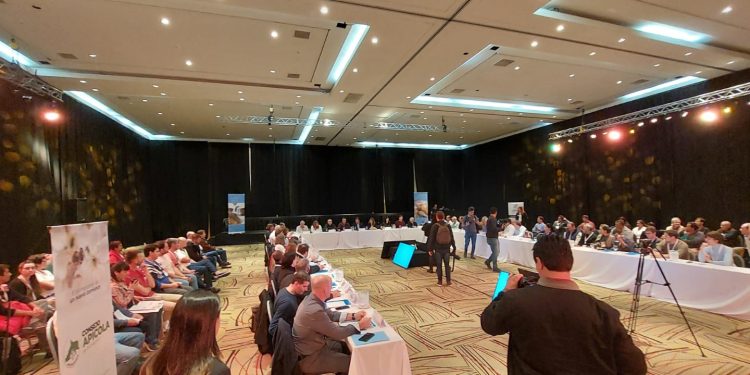 Misiones participó del primer Encuentro Apícola Federal