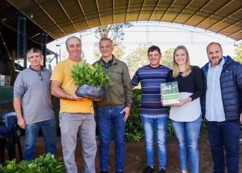 Yerba mate: continúa la entrega de plantines en la provincia