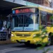 El servicio de transporte será gratuito el domingo por los comicios