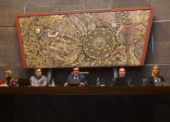 Cámara de Representantes: reconocen el derecho a un duelo respetado y a la atención frente a la muerte gestacional y perinatal