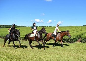 Tercera edición de Endurance Ecuestre en Eldorado