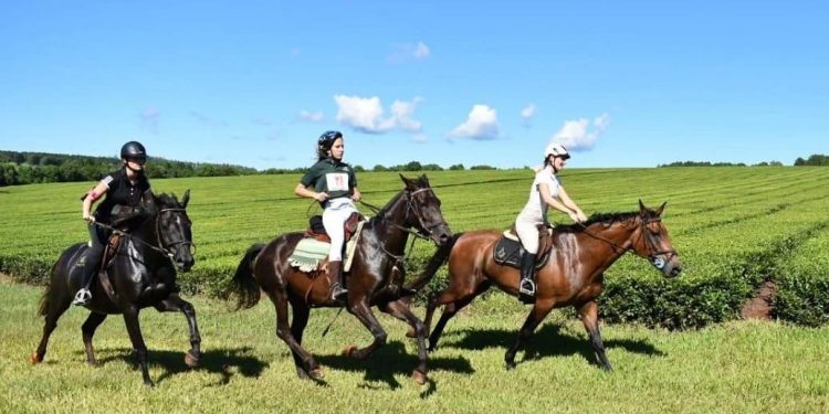 Tercera edición de Endurance Ecuestre en Eldorado