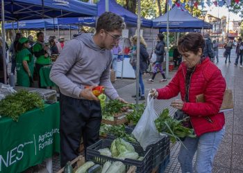 Ferias Francas: este es el cronograma para adquirir productos frescos y saludables