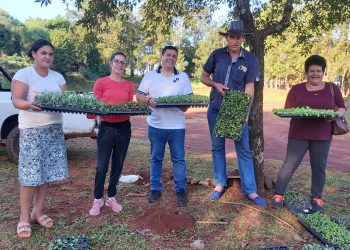 El IFAI entregó plantines a agricultores familiares de Colonia Wanda