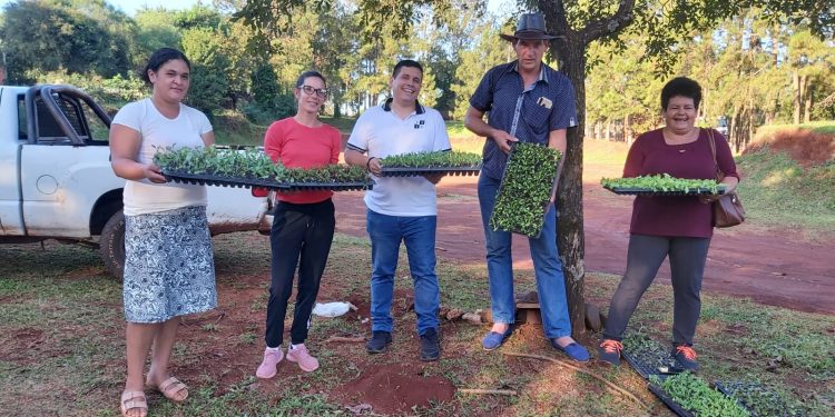 El IFAI entregó plantines a agricultores familiares de Colonia Wanda