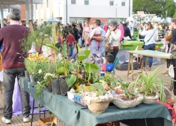 Posadas: inscriben para la Feria de Manos Productivas