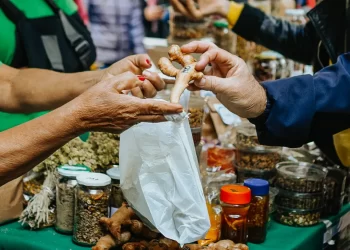Hierbas medicinales, entre los productos estrella de la Feria Franca de Posadas