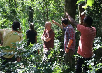 Guaraníes quieren recuperar el monte nativo en sus comunidades y se suman a un plan de restauración