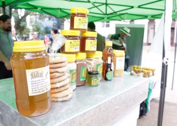 La apicultura posiciona al país como uno de los principales  exportadores mundiales de miel