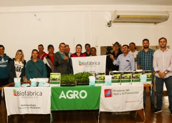 El Ministerio del Agro continúa potenciando las chacras misioneras mediante diversificación productiva en diferentes municipios