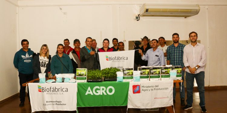 El Ministerio del Agro continúa potenciando las chacras misioneras mediante diversificación productiva en diferentes municipios