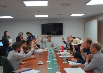 Emiten dictamen para garantizar por ley el cuidado de la salud mental durante el embarazo y el puerperio