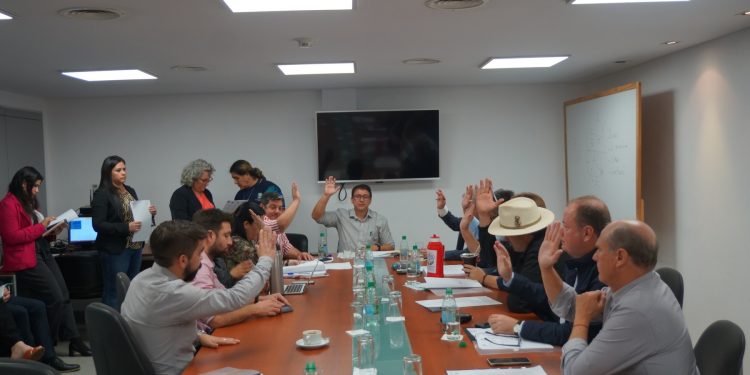 Emiten dictamen para garantizar por ley el cuidado de la salud mental durante el embarazo y el puerperio
