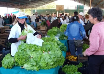 Ferias Francas: 25 años de potenciar la producción misionera