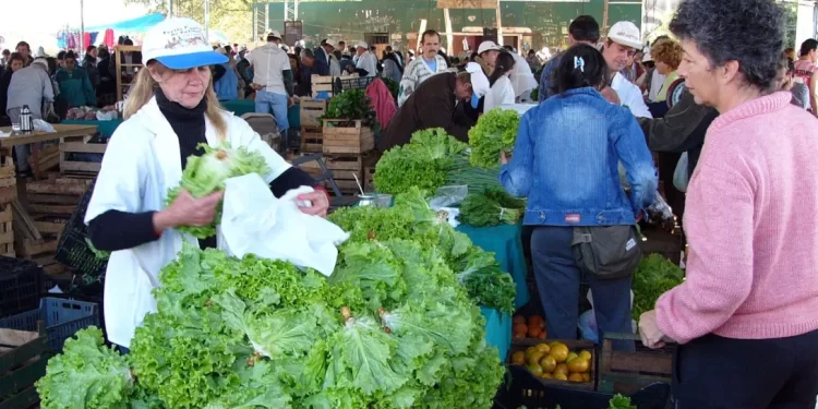 Ferias Francas: 25 años de potenciar la producción misionera