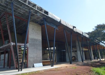 Continúa la puesta a punto y revalorización del Parque de la Ciudad de Posadas