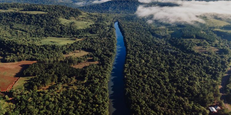 El Parlamento Misionero sancionó leyes para fortalecer las políticas de conservación de la biodiversidad