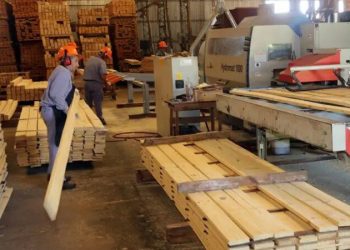 Misiones marca el rumbo en el NEA a través de sus protagonistas: empresas y empleo