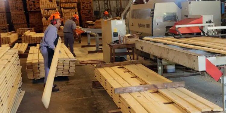 Misiones marca el rumbo en el NEA a través de sus protagonistas: empresas y empleo