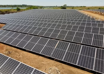 Con parques solares, Misiones potencia su generación energética