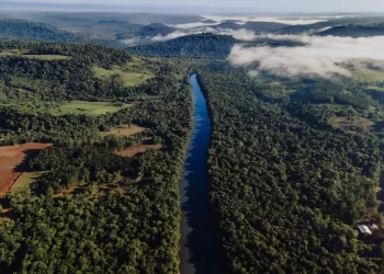 Con 101 reservas naturales, Misiones resguarda los recursos naturales y la biodiversidad