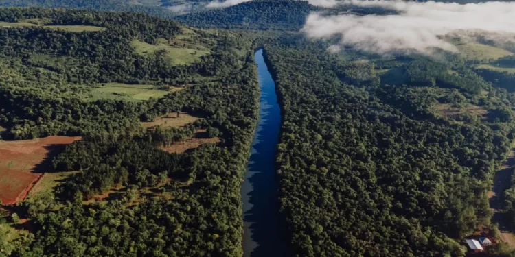 Con 101 reservas naturales, Misiones resguarda los recursos naturales y la biodiversidad