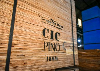 Passalacqua y Vancsik acompañaron a empresarios madereros de San Vicente