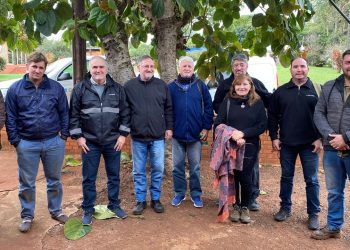 Wanda: plan de trabajo para que la Cooperativa Integral del Norte LTDA adquiera pollitos bebé