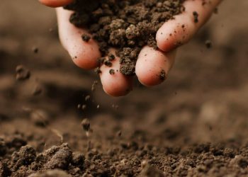 Misiones avanza a constituirse en una provincia con cartografía de suelos y un manejo sustentable del mismo