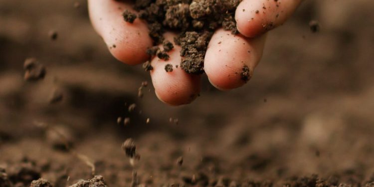 Misiones avanza a constituirse en una provincia con cartografía de suelos y un manejo sustentable del mismo