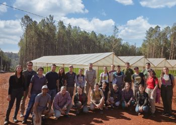 Buscarán cuadruplicar en un año la producción de tomates en Misiones