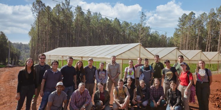 Buscarán cuadruplicar en un año la producción de tomates en Misiones