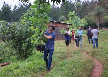 Conocé la comunidad Mbya Guaraní de Misiones que quiere recuperar el monte nativo