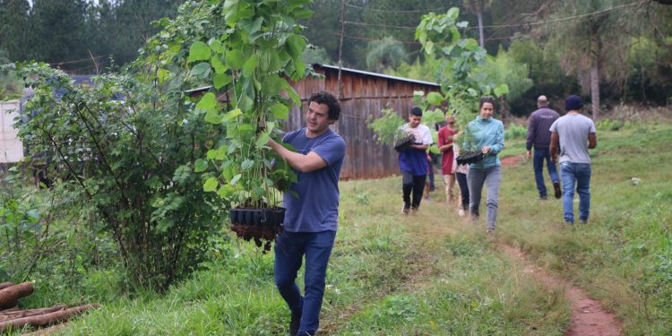 Conocé la comunidad Mbya Guaraní de Misiones que quiere recuperar el monte nativo