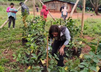 Comunidad Mbya Guarani Tava Miri de San Ignacio: terminan la construcción del sombráculo para la restauración del monte