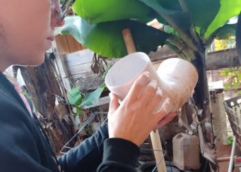 Continúa el control de vectores en barrios de Eldorado