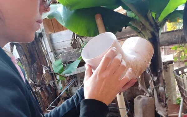 Continúa el control de vectores en barrios de Eldorado