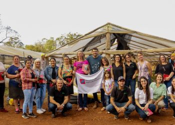 Producción de frutilla: una alternativa económica liderada por mujeres rurales