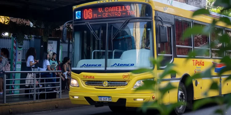 Por las elecciones, este domingo el servicio de transporte será gratuito