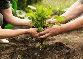 Más municipios se adhieren a la ley de fomento a la producción agroecológica